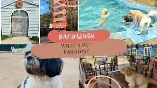 Visiting Wille's Pet Paradise. Popular Dog Cafe in Bangalore.