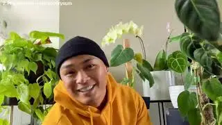 Top 5 Favorite Heart-Shaped Leaf Plant Video | Jungle_Papi