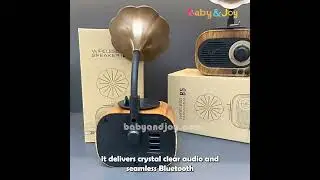 NEW Gramaphone Vintage Bluetooth Speaker &ndash; Classic Sound, Modern Design! #classic #homedecor #home