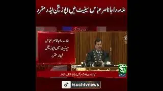 Allama Raja Nasir Abbas Appointed as Senate Opposition Leader | Breaking News | Such News