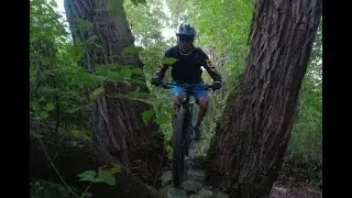 Don Valley mountain bike \/ Motown - Moartown Dry #mountainbike Ride - Why we love the Don!