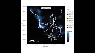 GPS tracks of Cory&rsquo;s shearwater fledglings in relation to light pollution in Tenerife Canary Islands