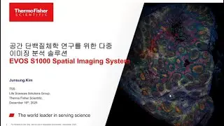 EVOS S1000 Spatial Imaging System: A Multi-Imaging Analysis Solution for Spatial Proteomics Research