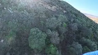 Alcaria ruiva 26 11 2025