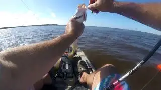 Tomoka Basin - Ormond Beach Kayak Fishing