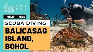 Scuba Diving Balicasag Island Bohol with Philippine Fun Divers