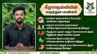 கீழாநெல்லியின் மருத்துவ பயன்கள் /கீழாநெல்லிக்கு பத்தியம் கிடையாது