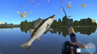 How to catch Zander★Best Spot on Volkov [Russian fishing 4]