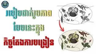 របៀបយករូបភាពដាក់ក្នុងកិច្ចតែងការបង្រៀន🎬✅