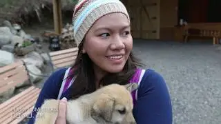 Alaska