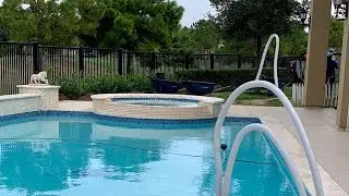 Swan Pool Rails