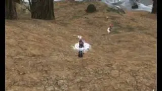 Gun, Shillien Templar, L2Relapse