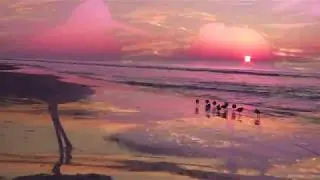 South Forest Beach ~ Hilton Head Island, South Carolina in HD