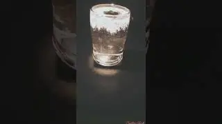 water + salt=MAGIC 🥶#creativeshorts#shortvideo#trendingshorts #music#magic#shortsviral#shorts#like