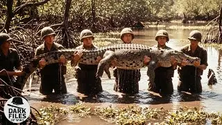 Vietnam&rsquo;s Most FEARED Swamp Crocodiles for US Soldiers! | Dark Files of WW2