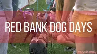 Red Bank Dog Days 2019