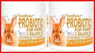 Equa Holistics HealthyGut Probiotics for Rabbits Dietary Supplement, All Natural Digestive System