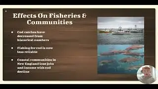 Climate Change on the New England Atlantic Cod Fishery