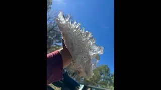 Arkansas Quartz Crystal Live Sale | Rare & Premium Natural Specimens