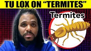 TU LOX (Twin Of Twins) On Coming Up With 'Termites' And The Meaning | Highlight