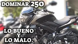 Dominar 250 - Review, Lo Bueno, Lo Malo, Ficha, Precio @NickRider