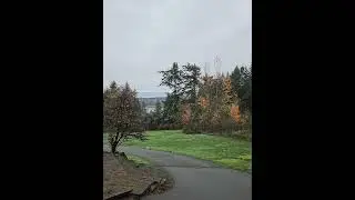 Victoria BC Scenic Drive | Lakes + Forest + Rain