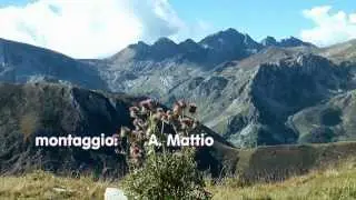 Trekking delle Alpi di Mondovì - Valli Ellero e Pesio - Piemonte