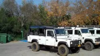 Defenders in Israel