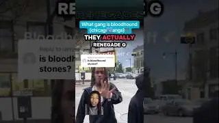 What gang is bloodhound‼️ #chicagogangs