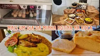 Novidades aqui na roça♡ como está a casinha?almoço delicioso e requeijão de corte