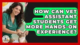 How Can Vet Assistant Students Get More Hands-on Experience? - Animal Care Jobs