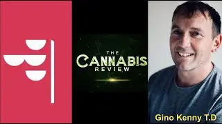 Overview of Ireland's Cannabis programme | Gino Kenny T.D | 24/6/21