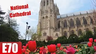 The National Cathedral & Cathedral Heights | EP 70