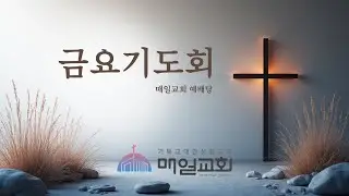[2026/01/16(금)]  