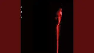 This Is the New Silence