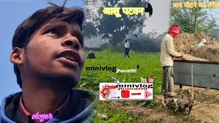 धान पीटने का तरीका/आलू पटवन #village vlog #desichors #minivlogjhunathi #jehanabad#jehanabad