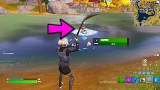 Stage 1 of 5 - Catch Fish || Fortnite Discover The Season Quests