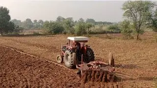 MF 385 with disc harrow amazing work 