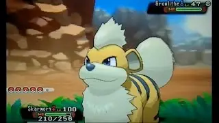 Shiny Growlithe Catch:: The Shiny Dex (DexNav)