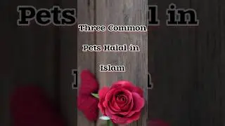 Three Common pets halal in Islam #shorts#halalpets