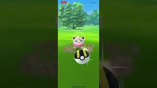 WILD JIGGLY PUFF 😊