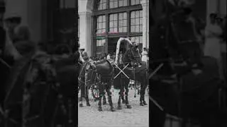Жизнь на улицах дореволюционной Москвы l Life on the streets of the pre-revolutionary Moscow #shorts