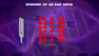 Blaze the Cat Telling about Working of an Ear Drum