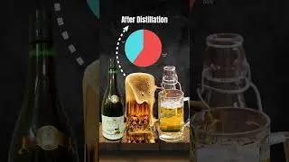 Difference Between Wine, Beer, Whiskey & More Explained Simply! #hindifacts #trending #15august