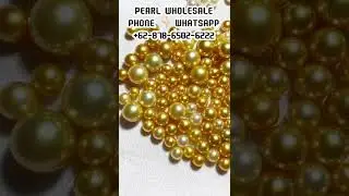 South sea pearl wholesale for more information click  