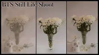Behind The Scenes: Timeless Still Life Shoot
