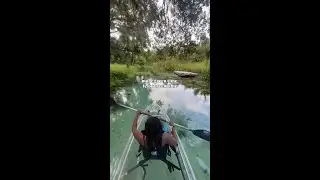 The best central Florida adventure near Orlando 🏝️