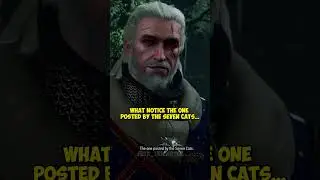 Did You Find Shani's Hidden Notice in The Witcher 3? #TheWitcher3