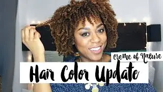 Creme of Nature Hair Color Update | SheMeetsCity