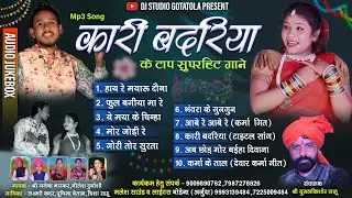 कारी बदरिया | Kari Badariya All Mp3 Song | Audio Jukebox | Cg Song